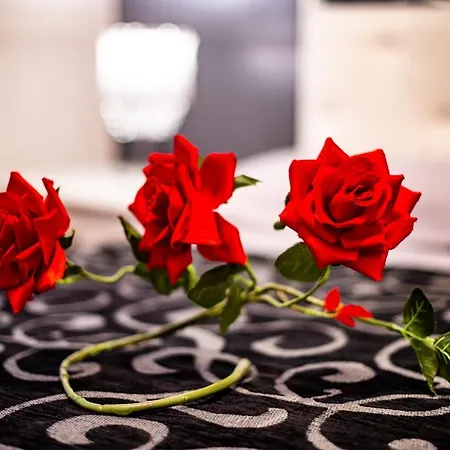 Bed and Breakfast Cheope