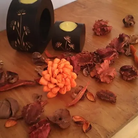 Cheope Bed & Breakfast 3*