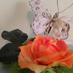 Cheope Bed & Breakfast 3*